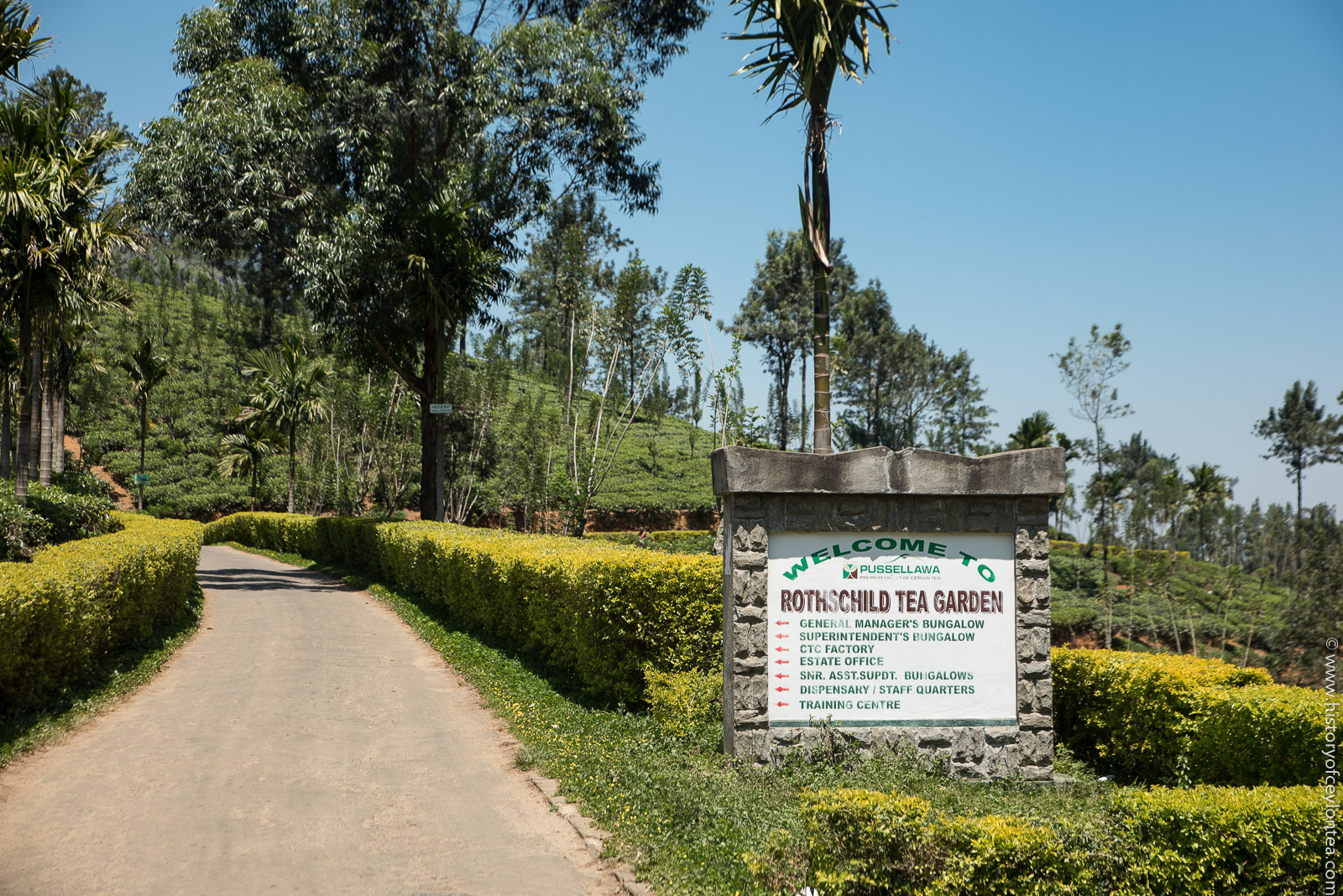 History - Allagolla Estate, Udapussellawa | Facebook