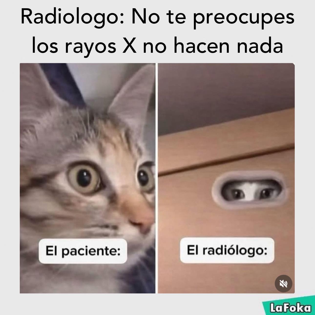 Aguus Firpo