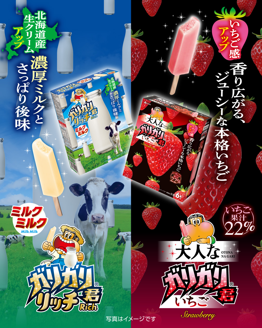 🍦愛されるロングセラーアイス紹介🍦 今回は森永乳業の「ピノ」‼ 1970