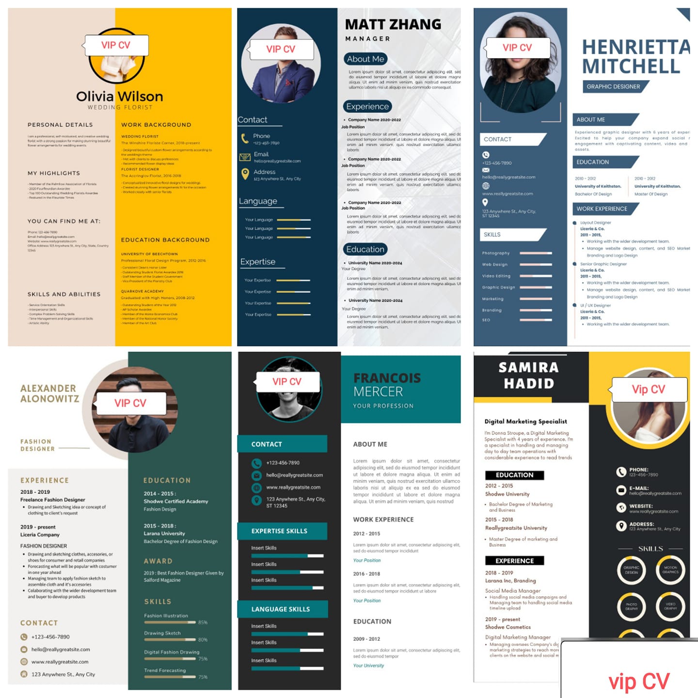 Vip CV | Cairo