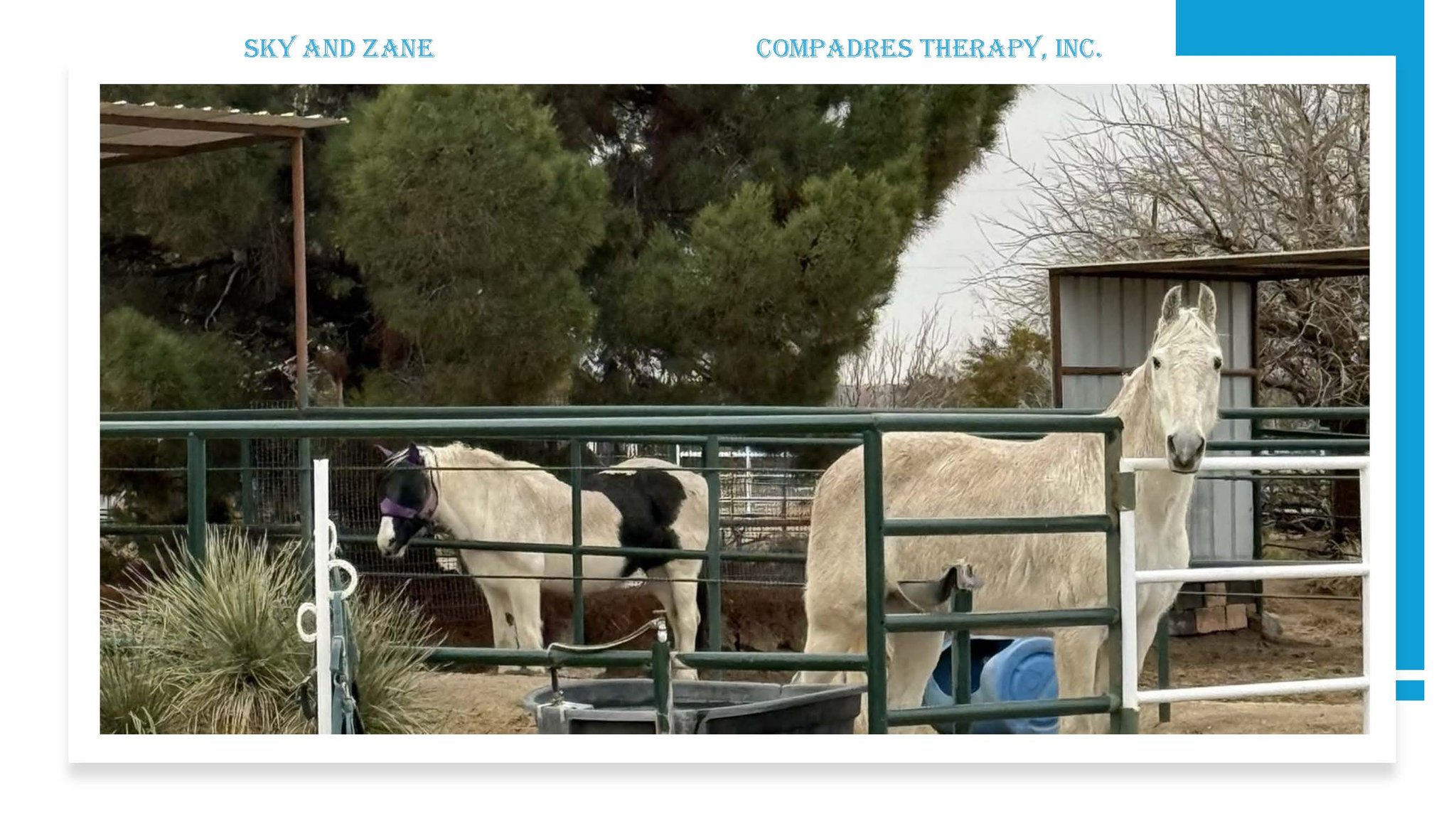 Compadres Therapy Inc.