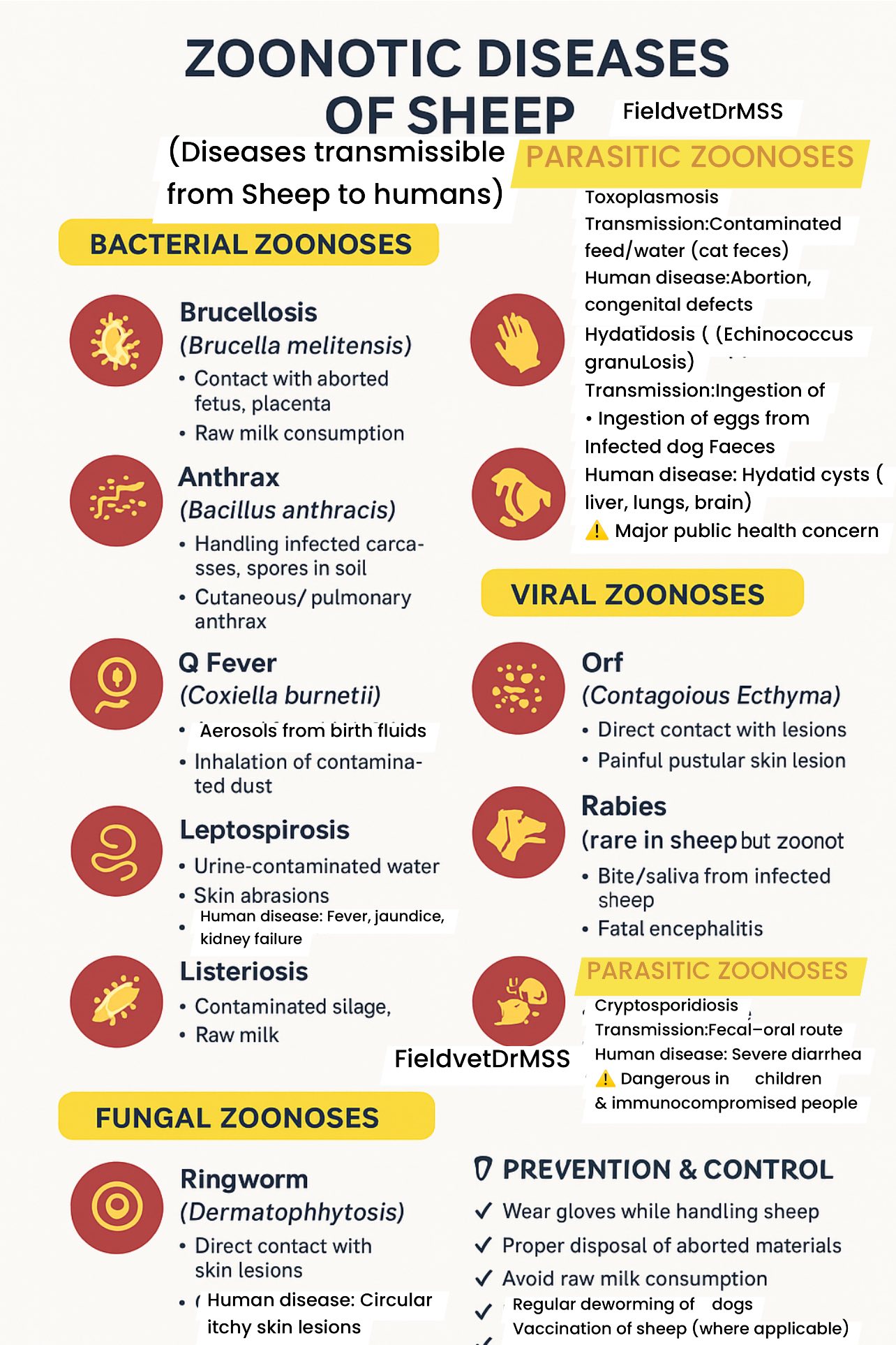 Field - Zoonotic Diseases of Sheep: #FieldvetDrMSS | Facebook