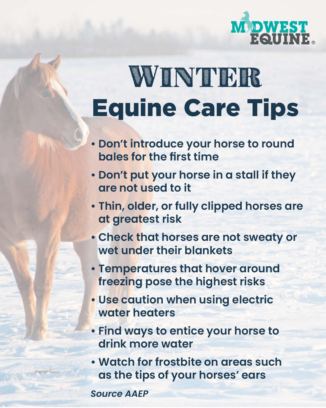 Great Lakes Equine, LLC (651... - Great Lakes Equine, LLC