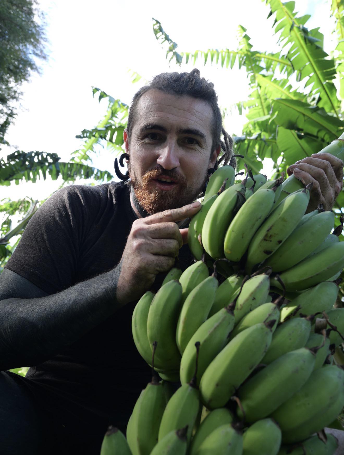 can you eat bananas on glp 1 Eating Semaglutide: Safe Foods Guide We all know green bananas