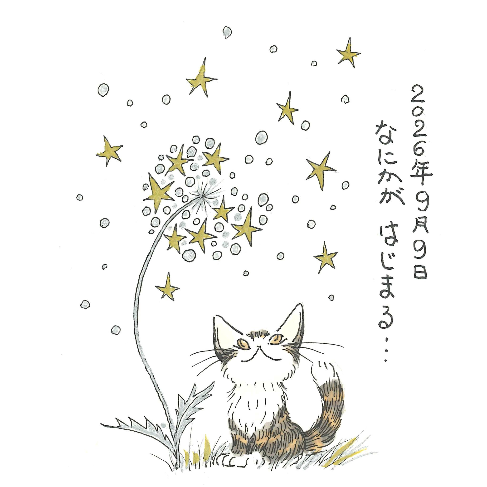 わちふぃーるど (@wachifield.dayan) • Facebook