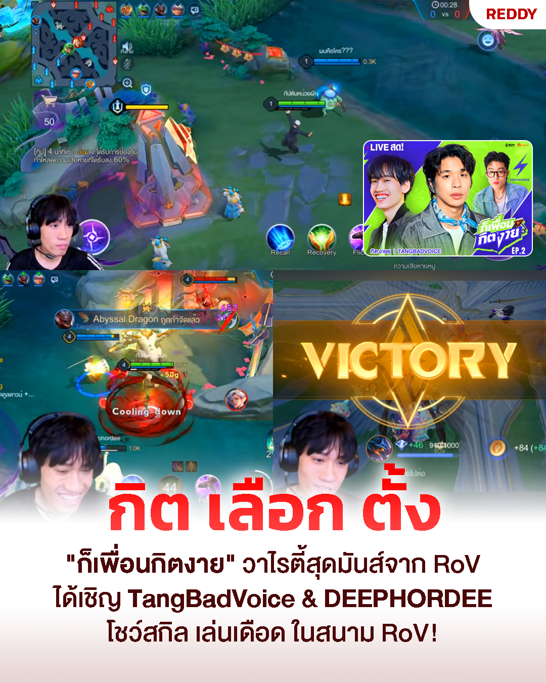 REDDY - 