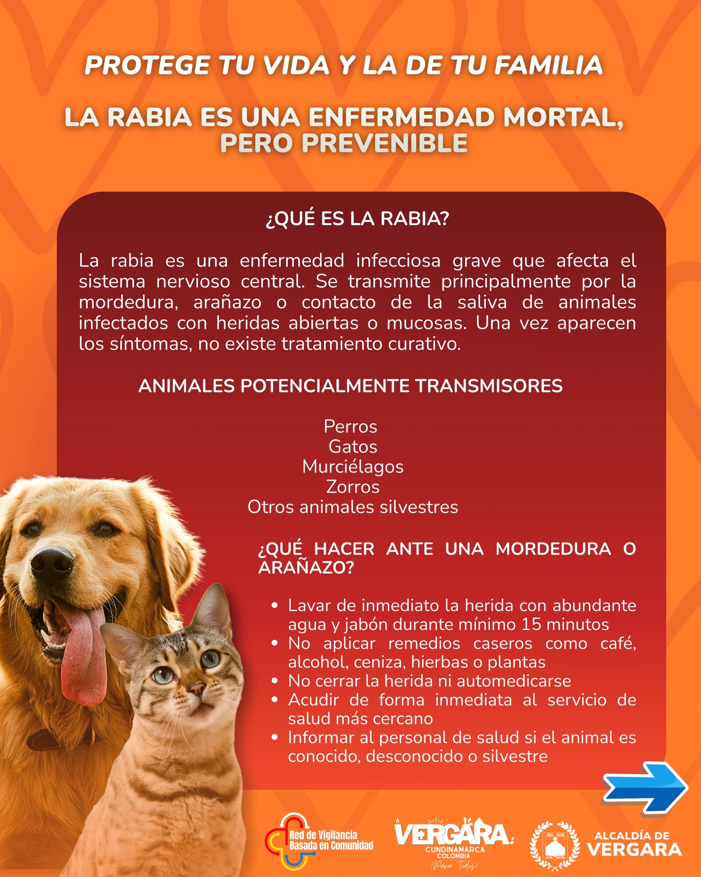 Alcaldía - #FelizMiércoles ☀️|| La Secretaría de Desarrollo Económico y ...