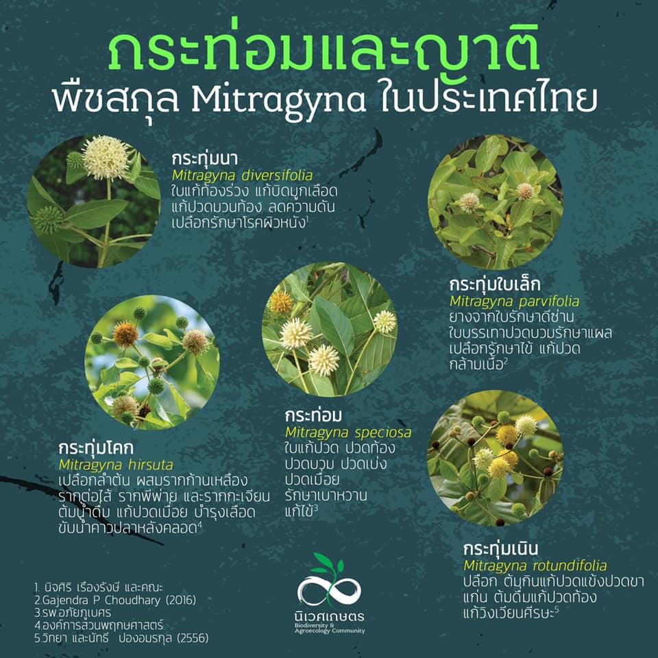 NExT-Academy - กระท่อมและญาติ NExT-Academy 📣มีสาระดีมาฝาก📣...