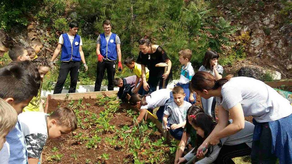 JU Srednja strucna skola 