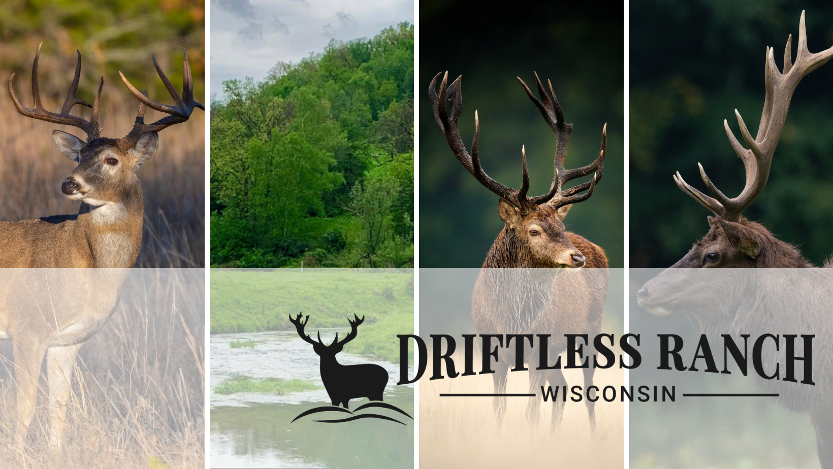 Driftless Ranch | Prairie du Chien WI