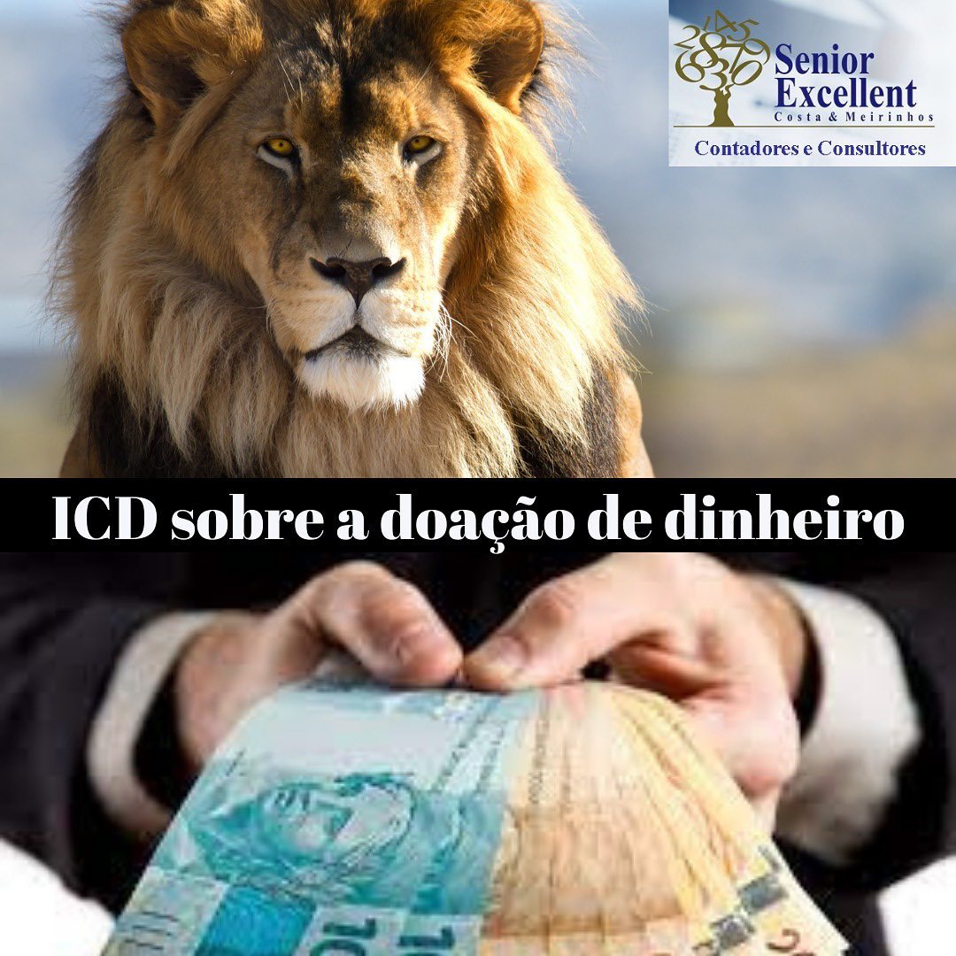 Senior Excellent - Contadores e Consultores - Está fazendo a sua ...