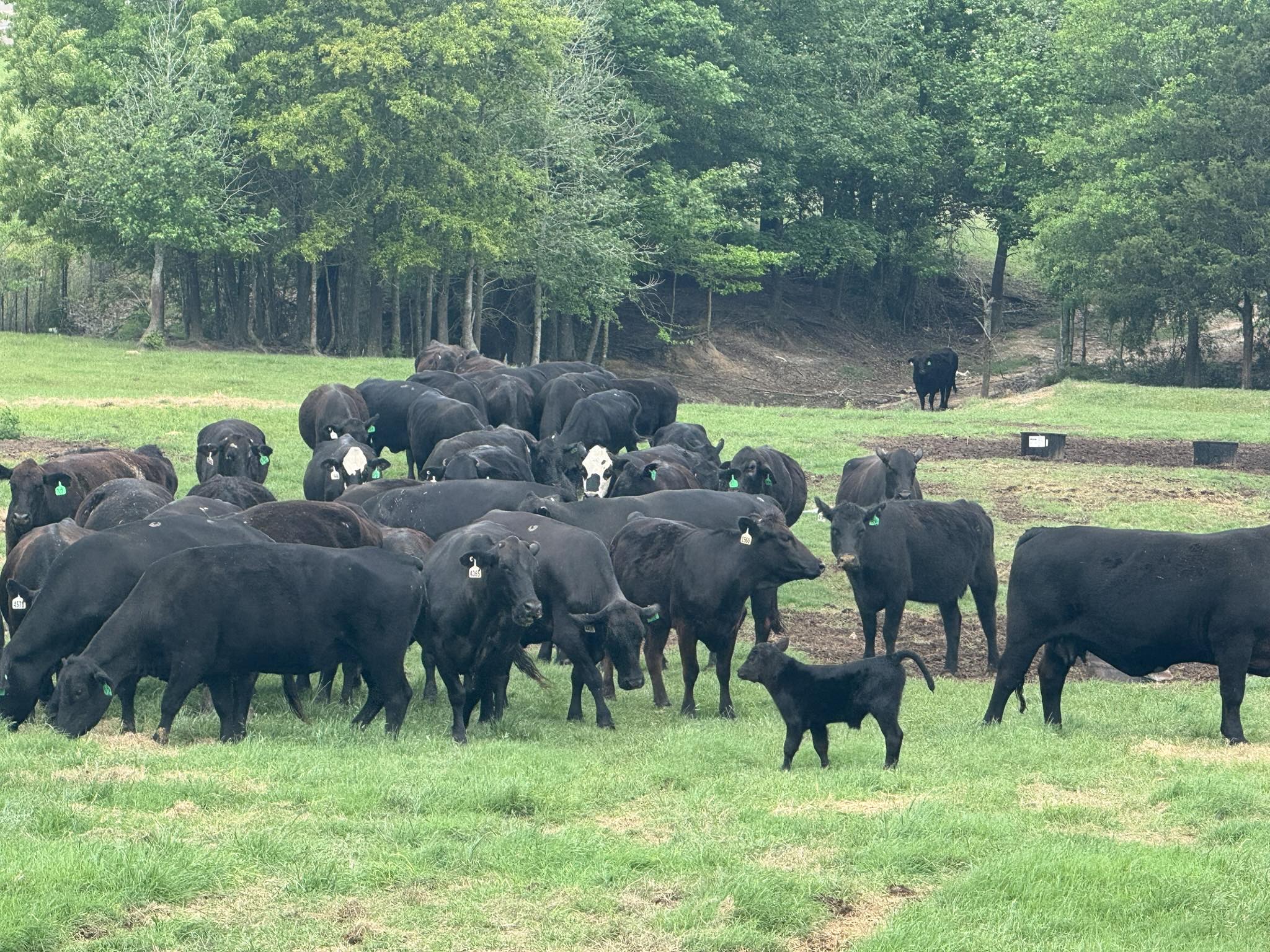 Bar 7 Ranch - What’s one thing farmers and ranchers will... | Facebook