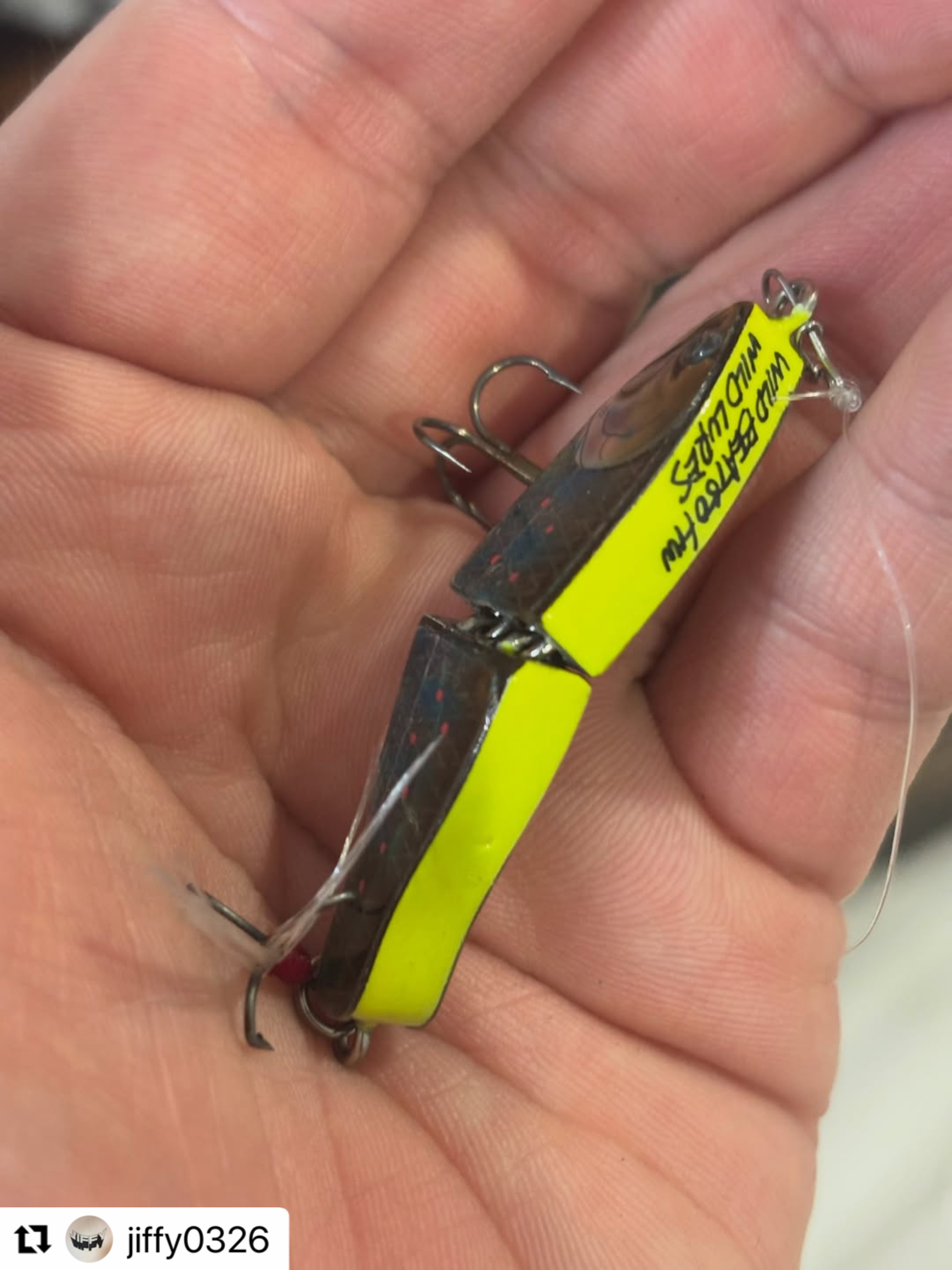 WILD LURES (@wildlures) • Facebook