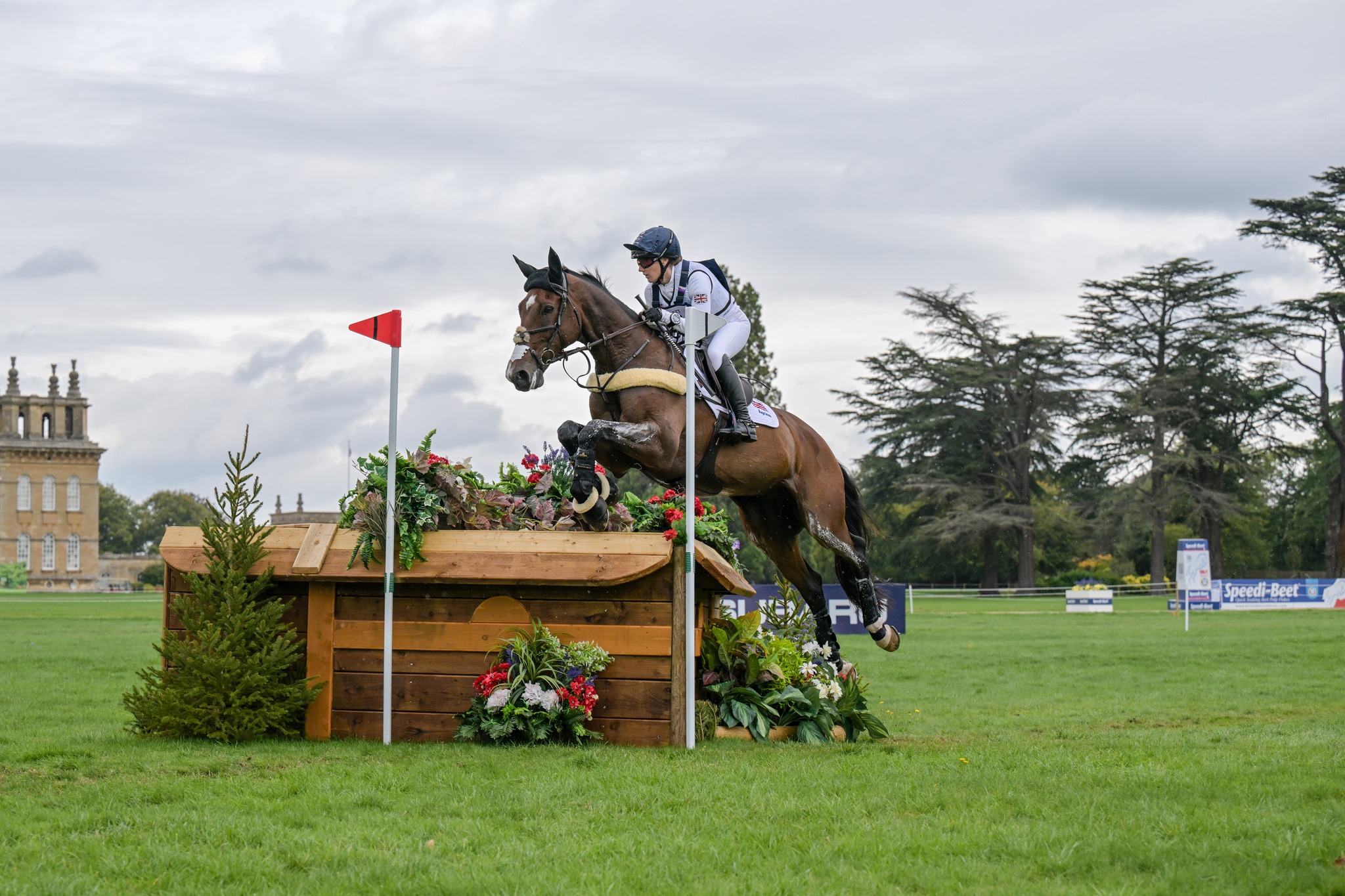 The ONLY Link for Saumur... - British Equestrian Vaulting | Facebook