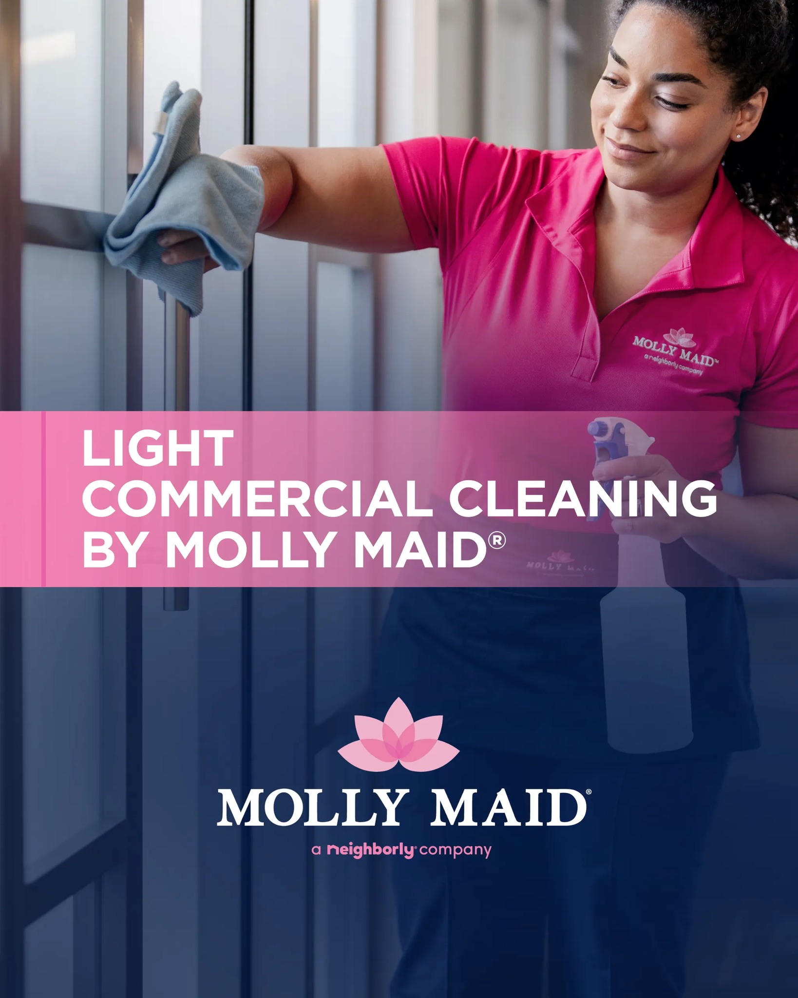Molly Maid Chapel Hillnull