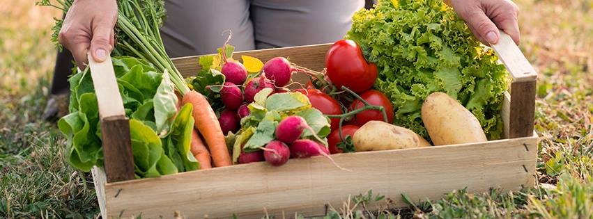 Jackson Farms | Grand Ridge FL