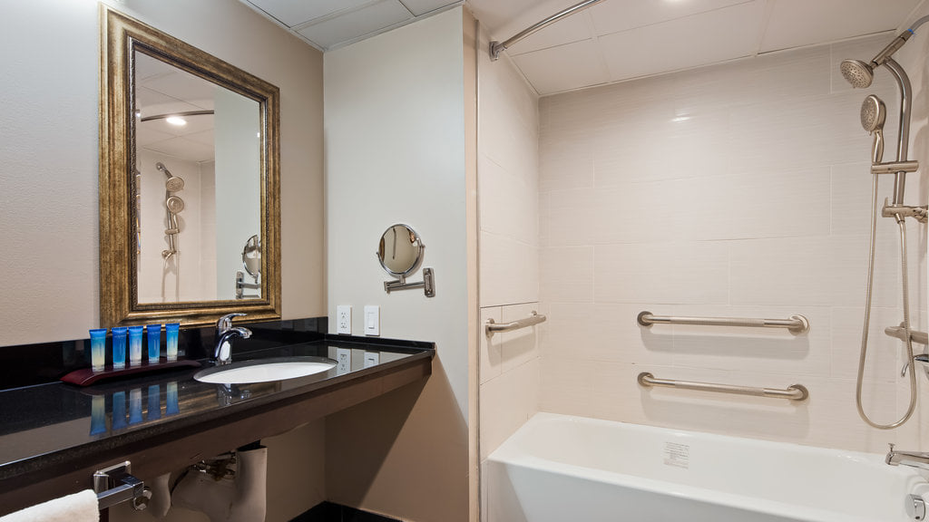 Radisson Hotel... - Radisson Hotel Southfield-Detroit