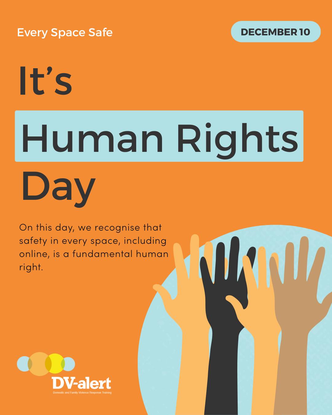DV-alert - Today on Human Rights Day - and the final day... | Facebook