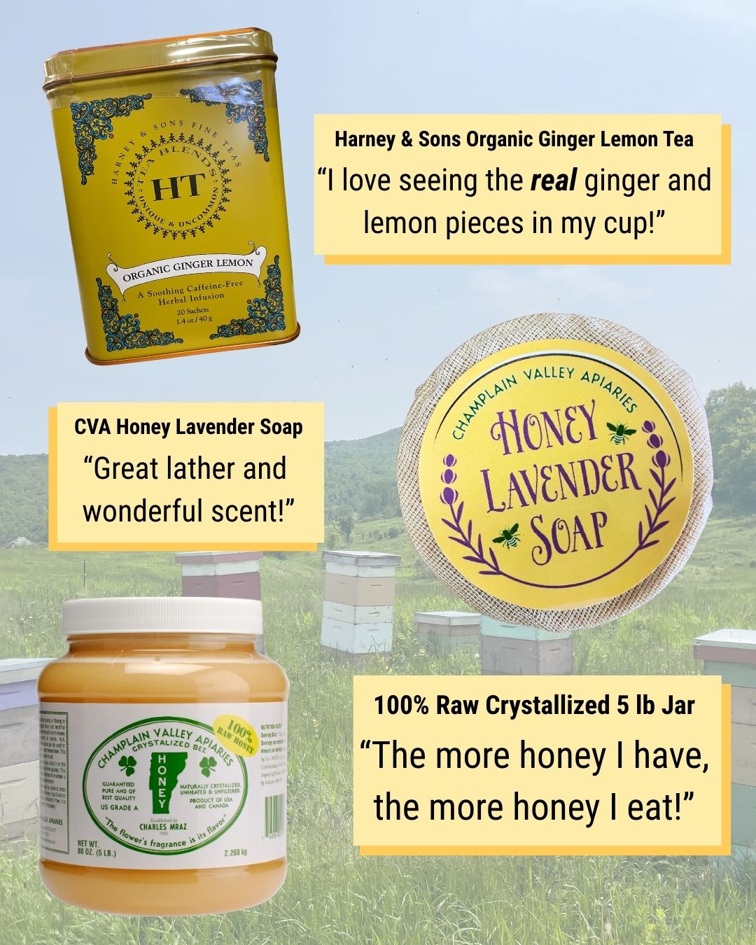 Champlain Valley Apiaries... - Champlain Valley Apiaries