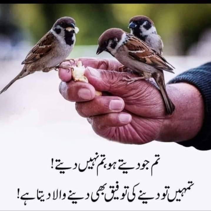 مًن۔ مُرشد مِٹى تے میں | Lahore