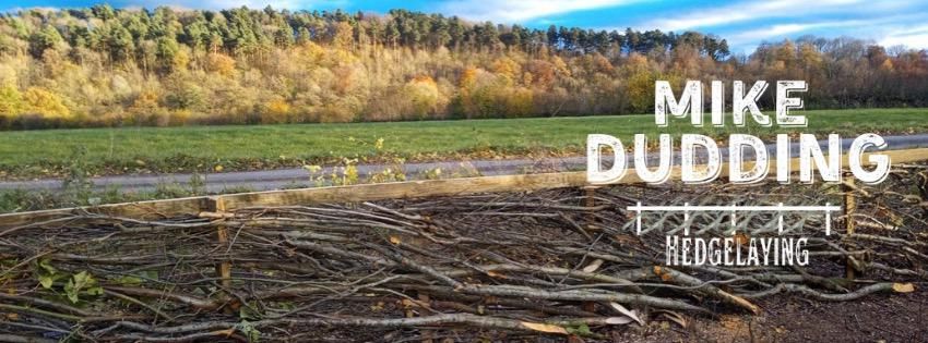 Mike Dudding Hedge laying