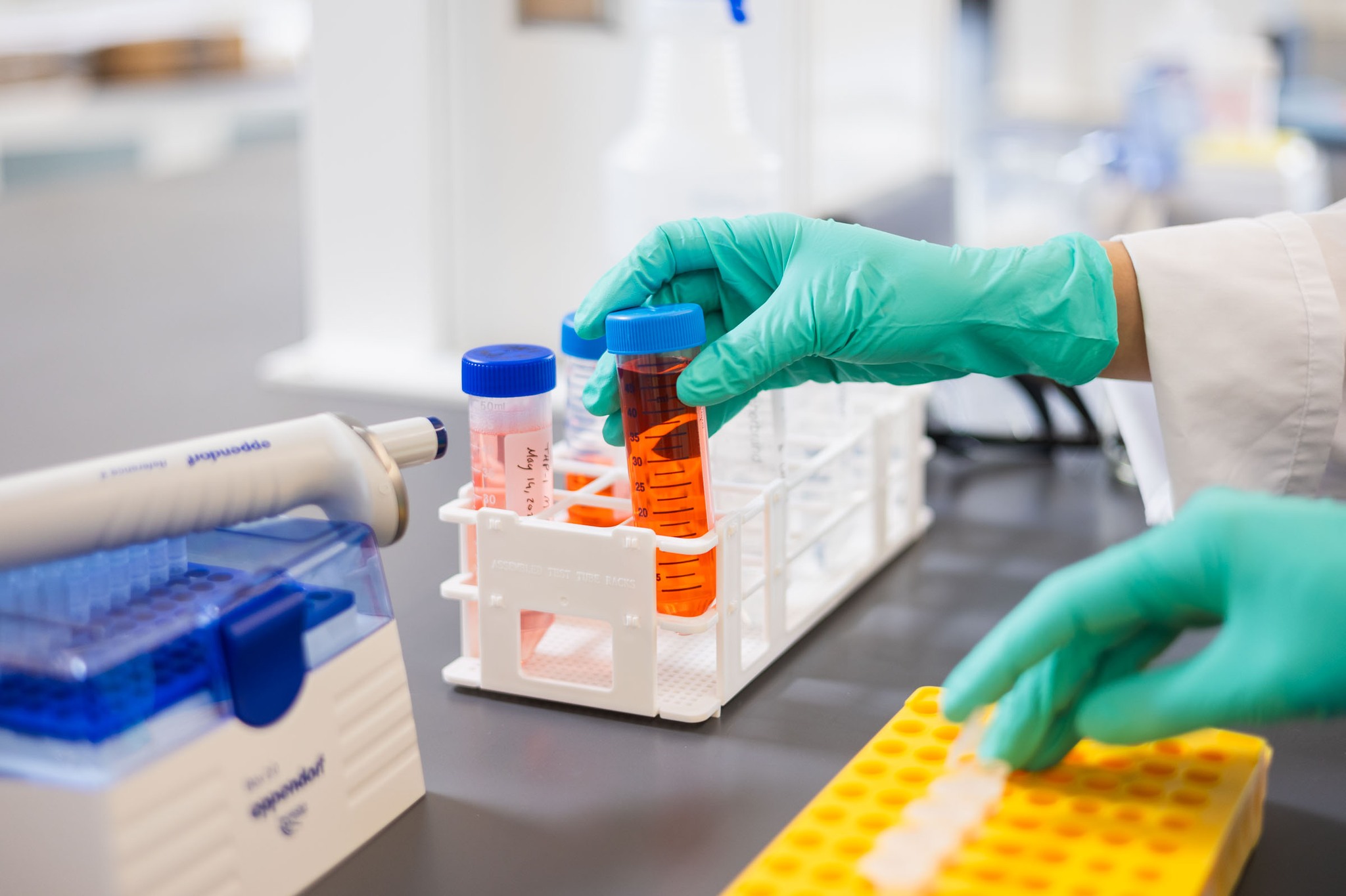 College of Human Ecology at Cornell - Championing Our Mission. The CHE ...