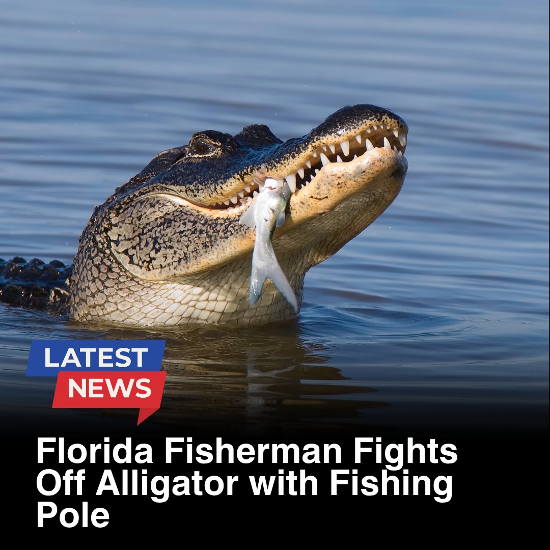 alligator fishing pole REAYEAXN 52'' Catch Extra Long Control Tool Capture Noose Stainless Steel Catching and Releasing Trap for Dogs Wolves Goats Catching Game Finders : Patio, Lawn & Garden What my catch pole sees