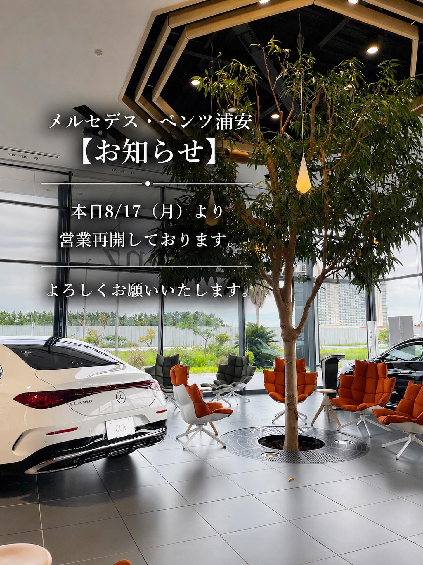 メルセデス ベンツ 浦安