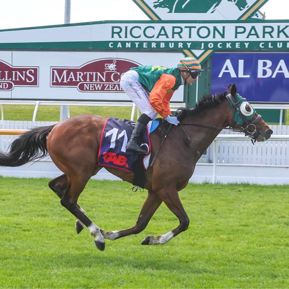Pitman Racing Stables | Christchurch