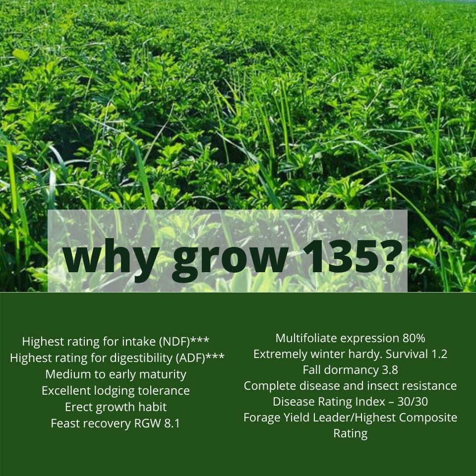 Why grow ProRich 135 alfalfa? 🌱... - ProRich Seeds Inc.