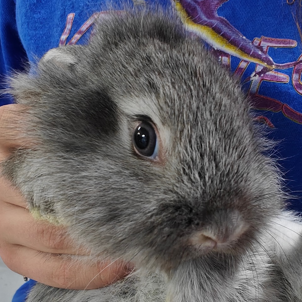 Maine Pet & Aquarium | Ellsworth ME