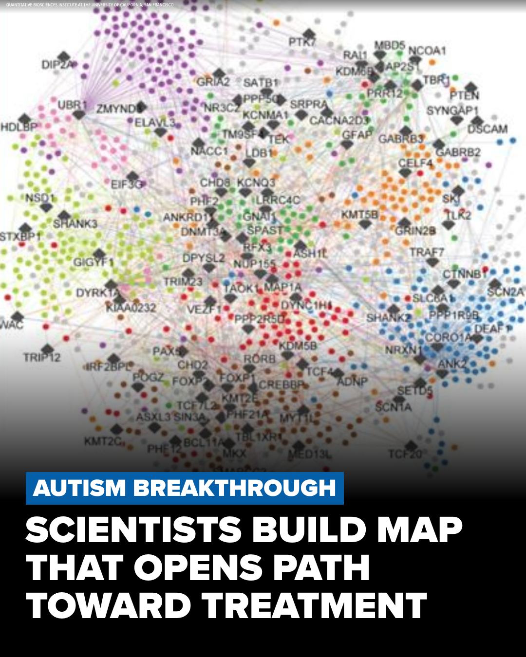dihexa peptide for autism A new study identified more than 1,800 protein interactions tied to autism, and 87% of them had never been seen before. Here's why that matters: http://www.11alive.com/article/news/nation-world/autism-map-study-key-protein-interactions/507-2567ea4f Diet Type_Kosher Purchase BAC water Melbourne Lot #:Lot #: N9TB50010/0428