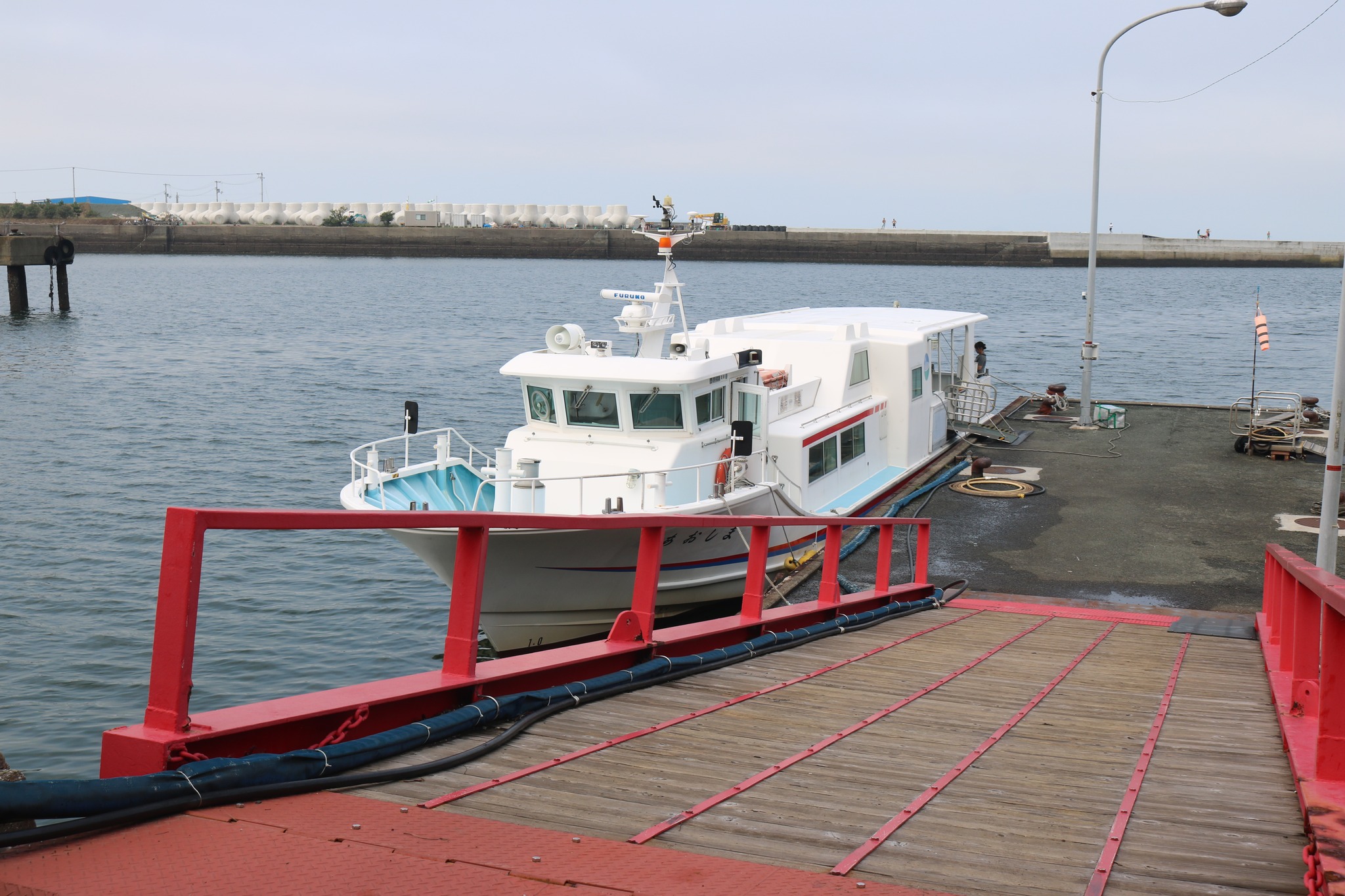 Aoshima ship canceled from October 1 to 13 for inspections