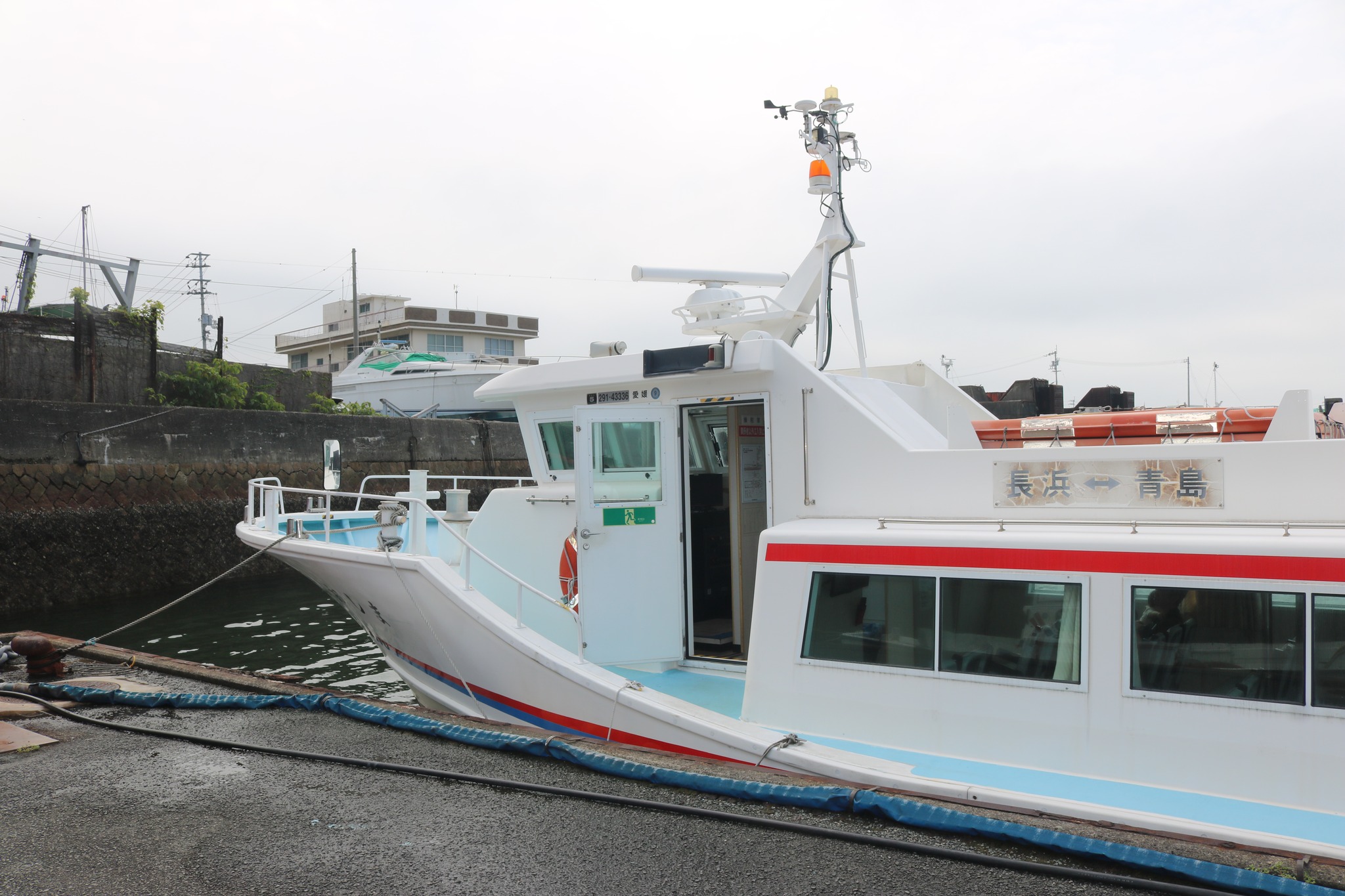 Cat Island Aoshima added a new photo. - Cat Island Aoshima