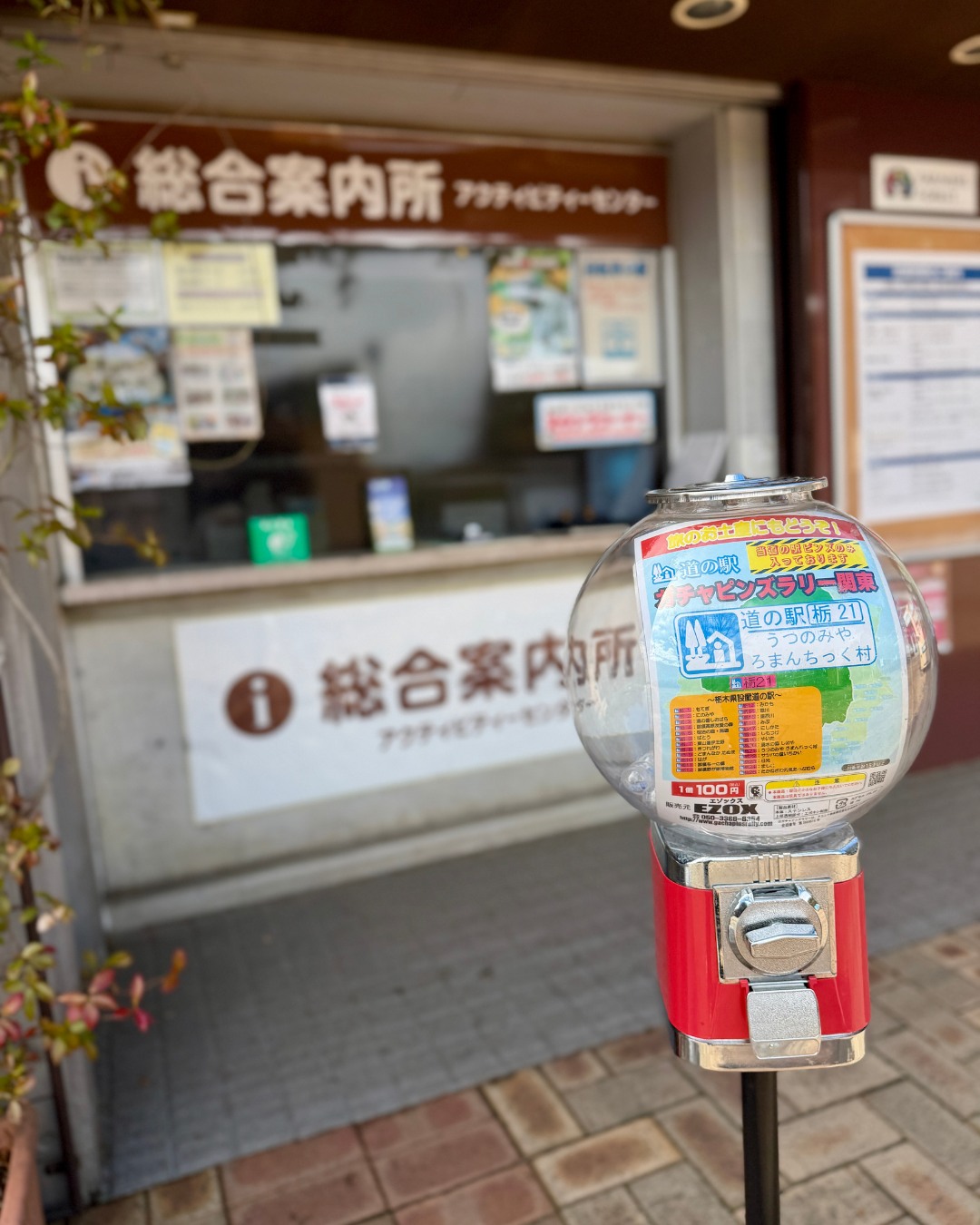 目指せ✨コンプリート！ .*／ 「栃木版道の駅ガチャピンズラリー