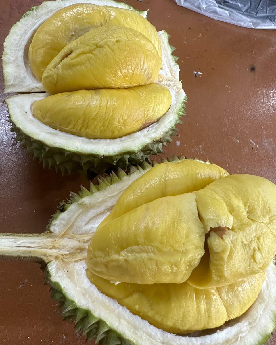 Sin Durian | City Singapore