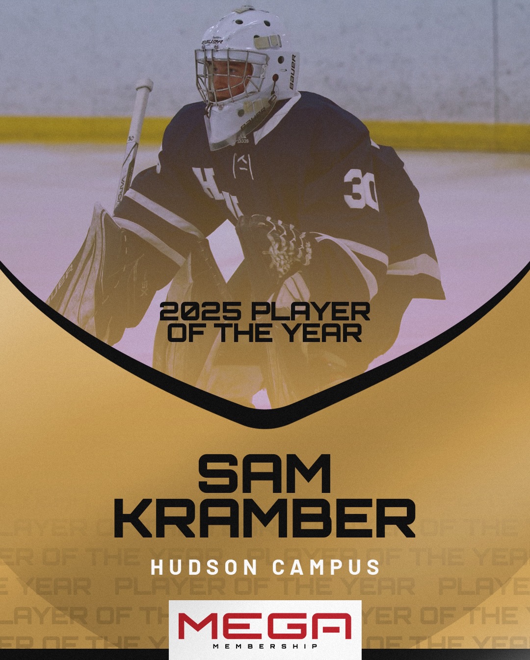 MEGA Goaltending added a new photo. - MEGA Goaltending