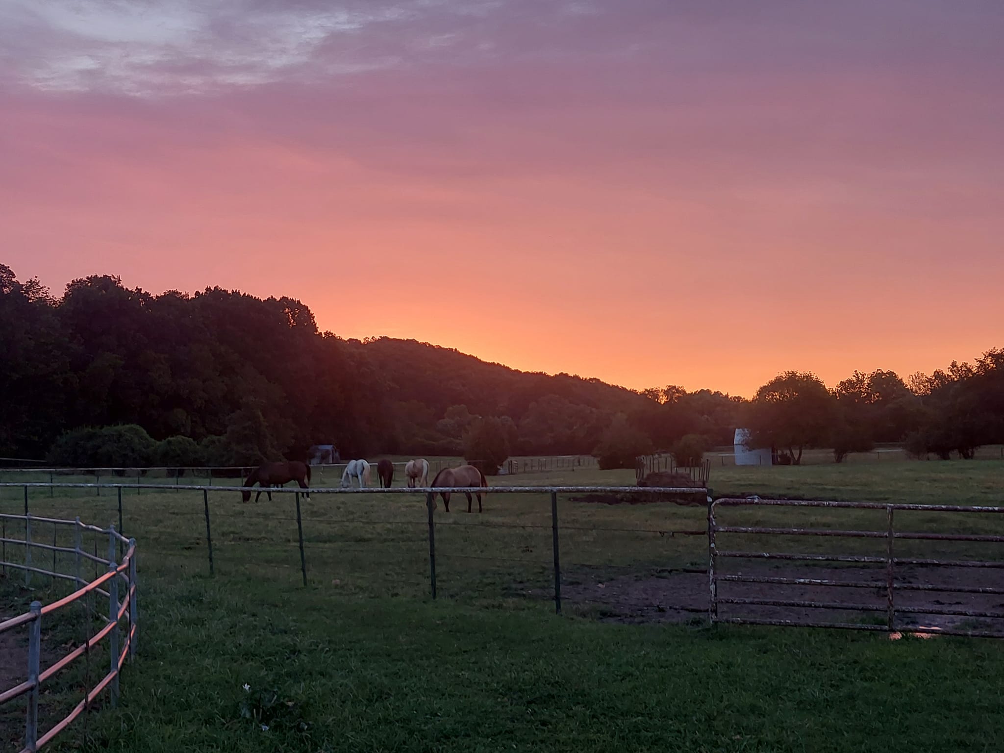 Sugar Creek Ranch
