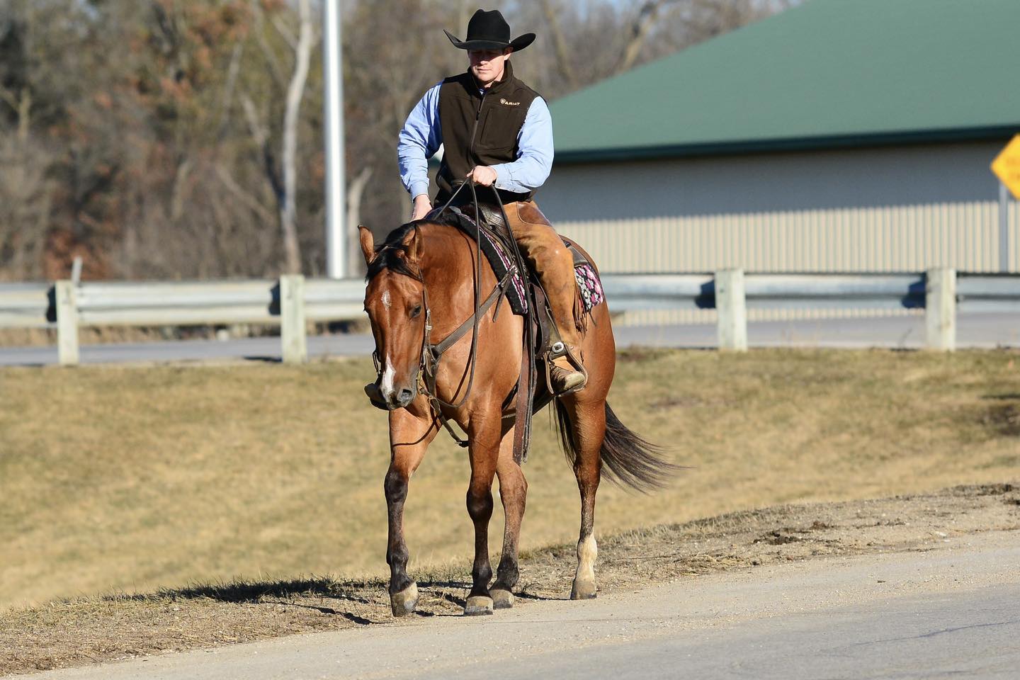 Hanson Horse Ranch | Preston MN