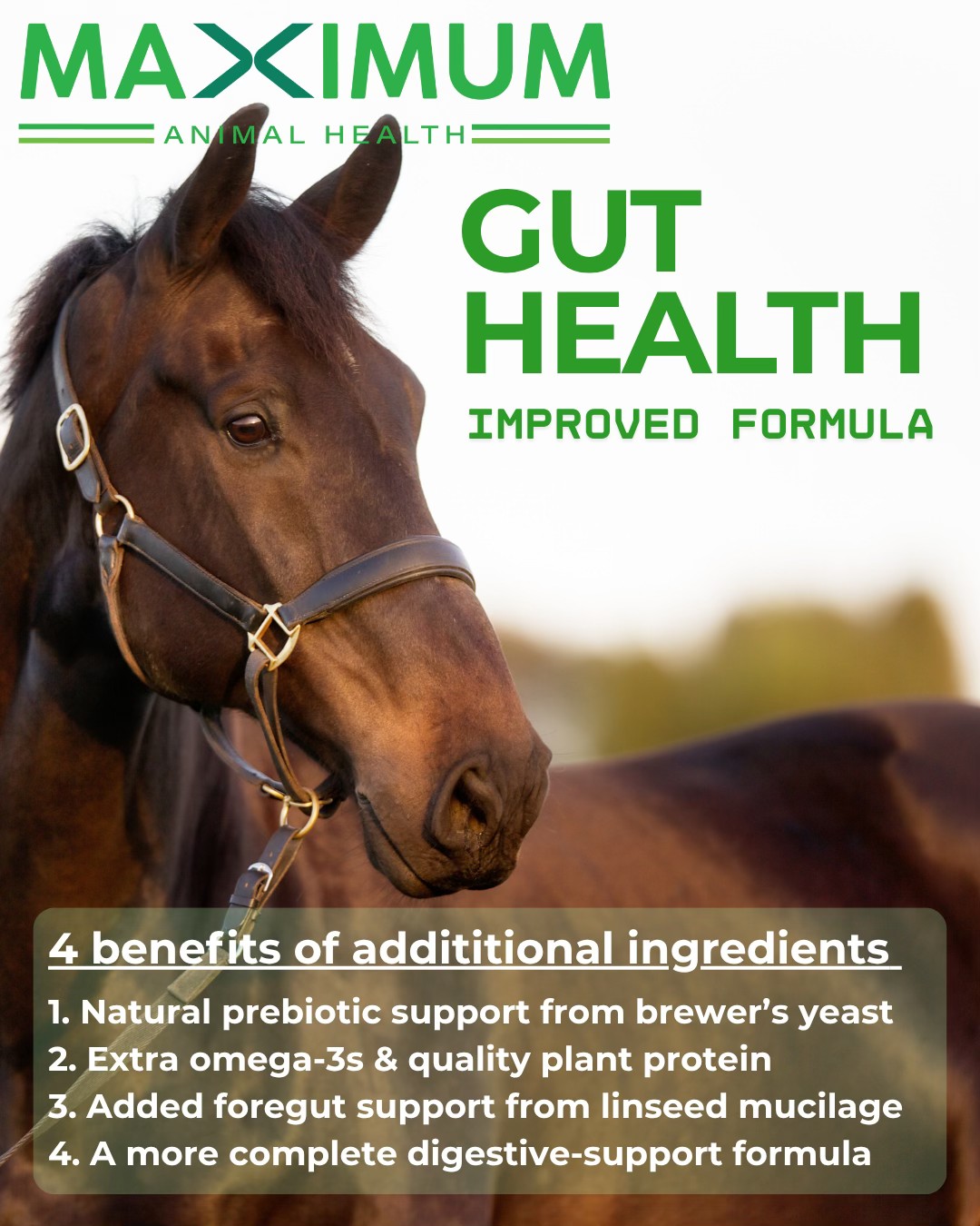 𝐑𝐨𝐥𝐥𝐢𝐧𝐠 𝐎𝐮𝐭 𝐓𝐡𝐢𝐬 𝐖𝐞𝐞𝐤 —... - Maximum Animal Health - Equine | Facebook