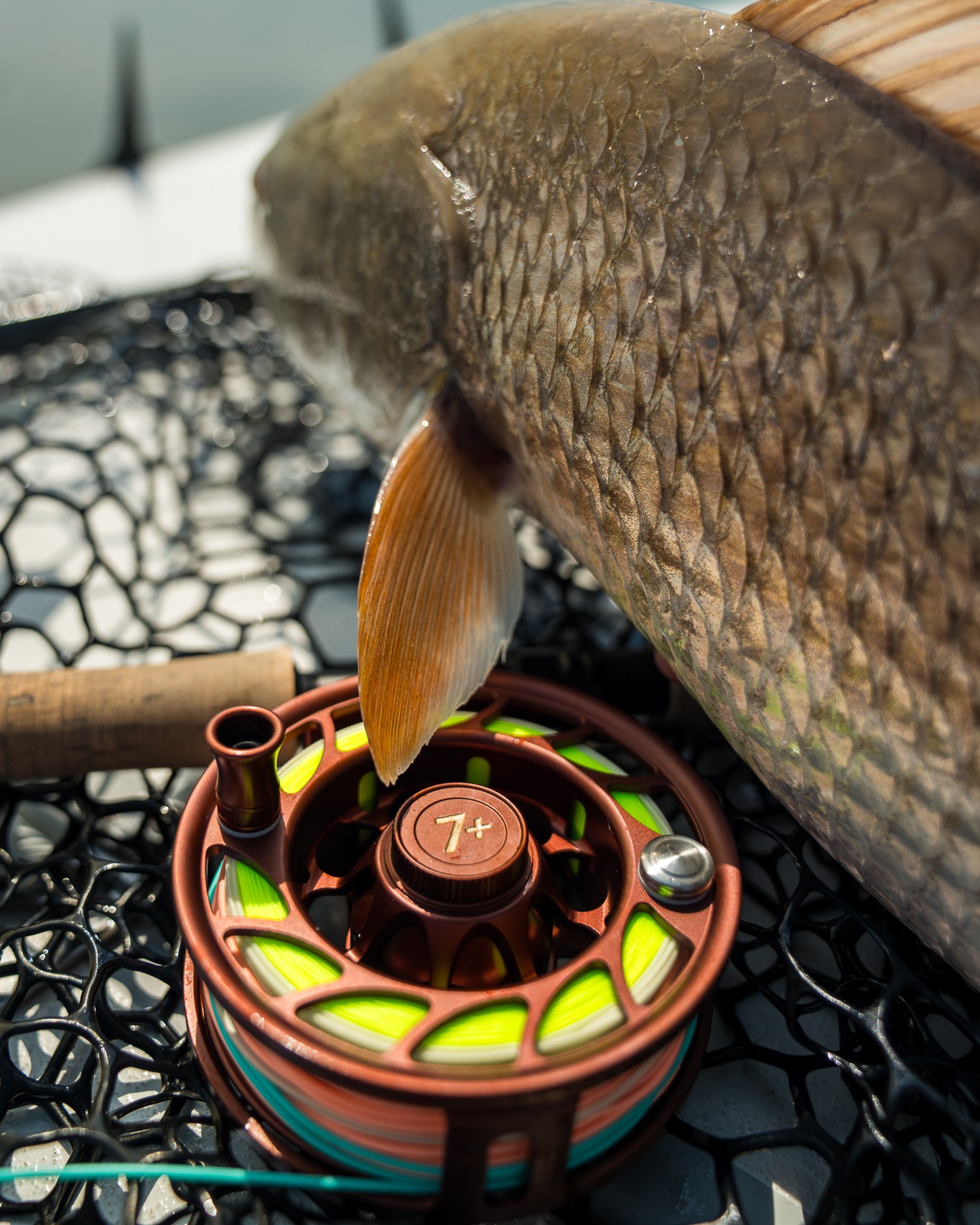 8496 tackle box court EDGE® 3700® YGroup_SpectrumC Color:Ditch Brown Okuma SST Carbon Grip Experience the ultimate organization