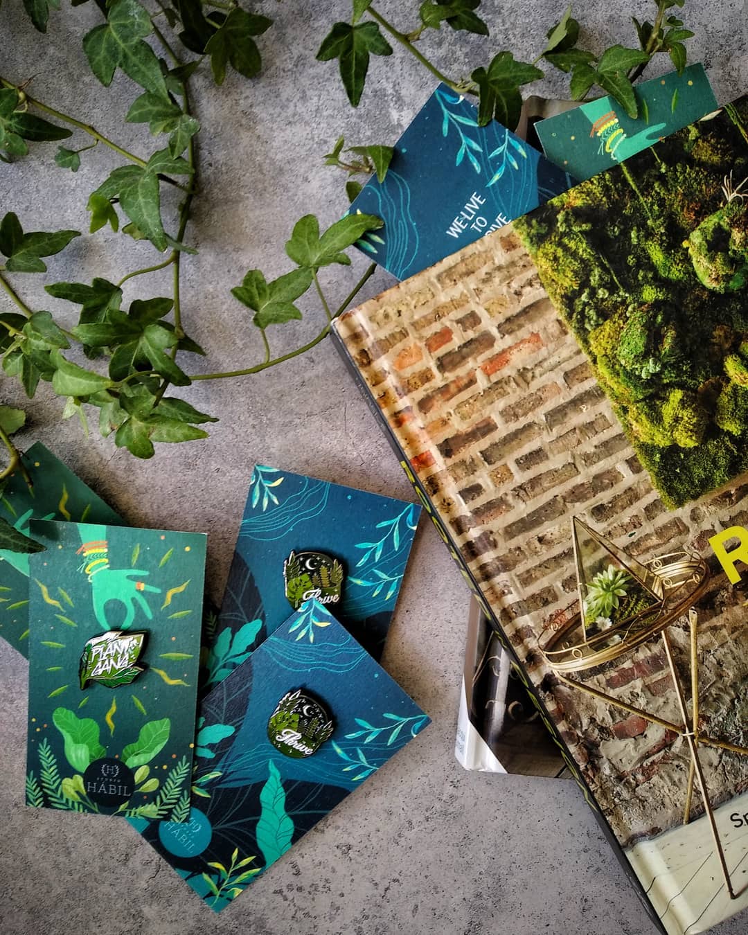 Studio Hábil - Our planty enamel pins comes with an illustrated artwork ...