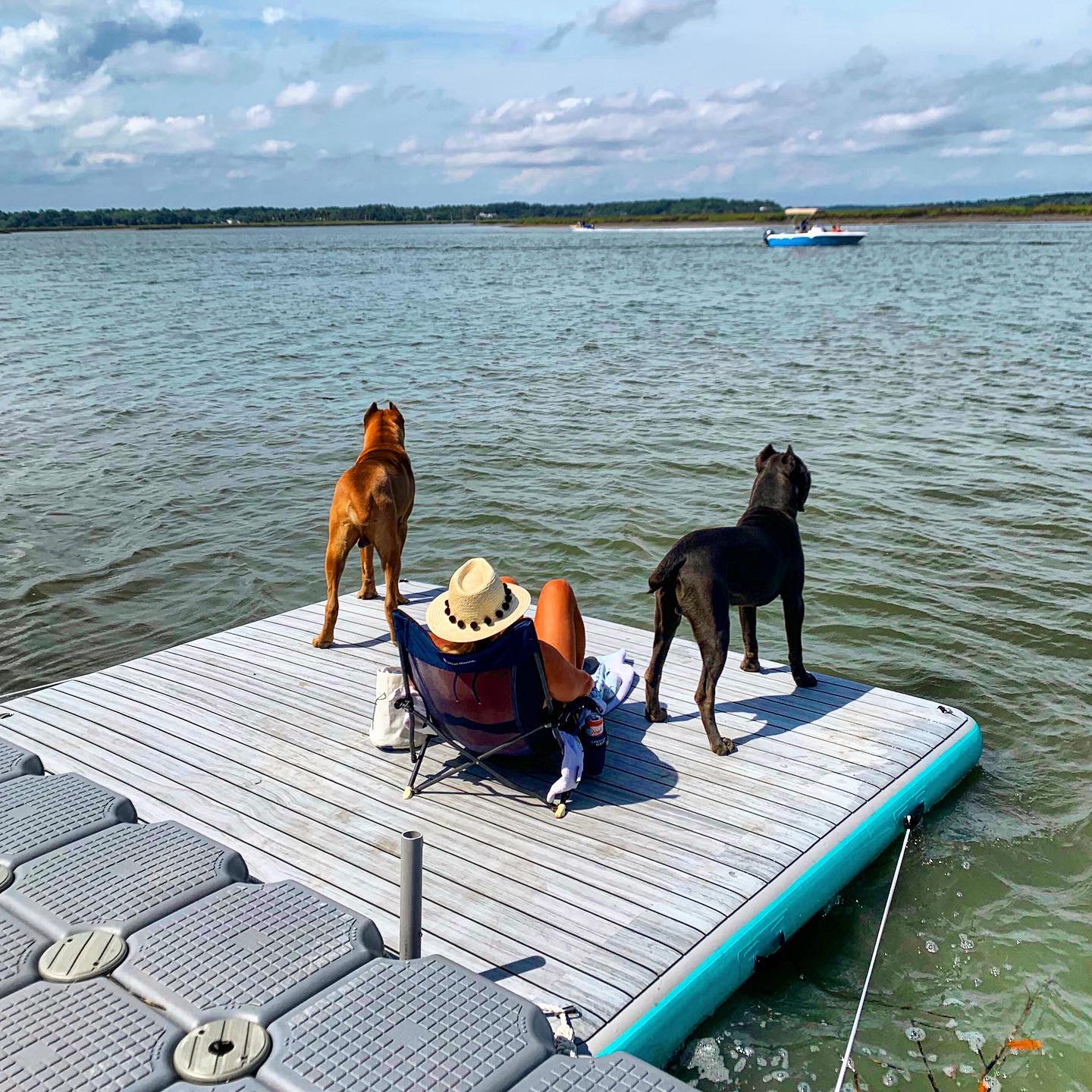 Solstice Watersports - Guard Dogs on Relaxation Duty😎 . . . 🤙Give us a ...