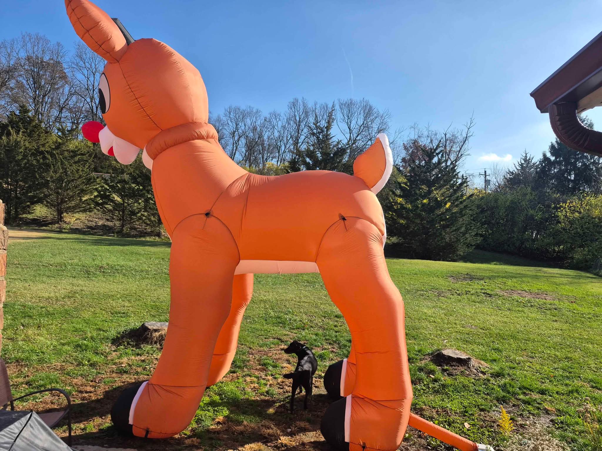 15 ft Rudolph inflatable - Inflatable Bouncers - Fairfield, Ohio ...