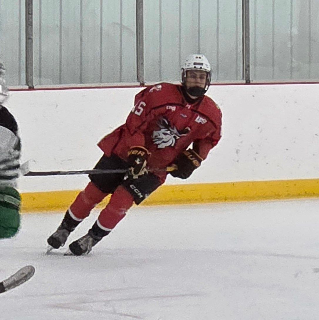 Elite AAA Hockey and Getting to Next Level | Has anyone been having ...