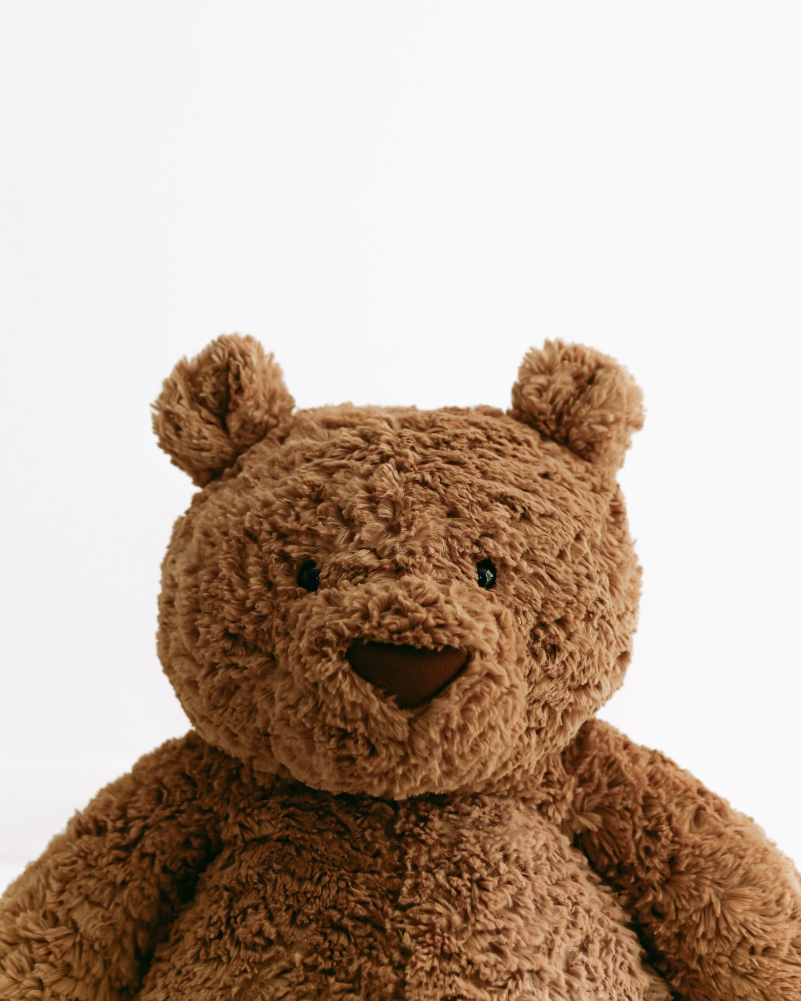 Bartholomew Bear (huge & medium) would like you to meet the