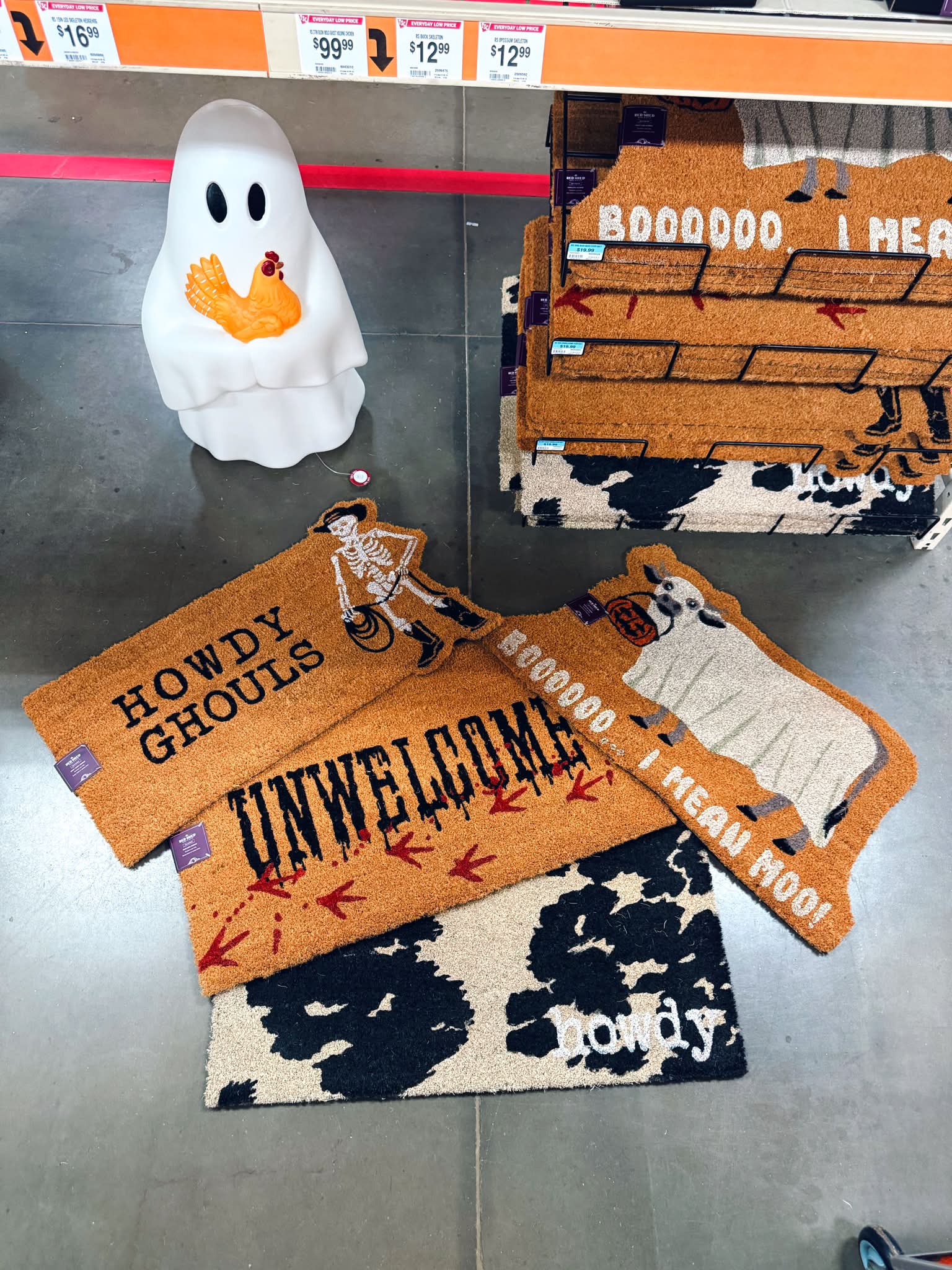 Autumn - RUN to Tractor Supply for the cutest new spooky szn