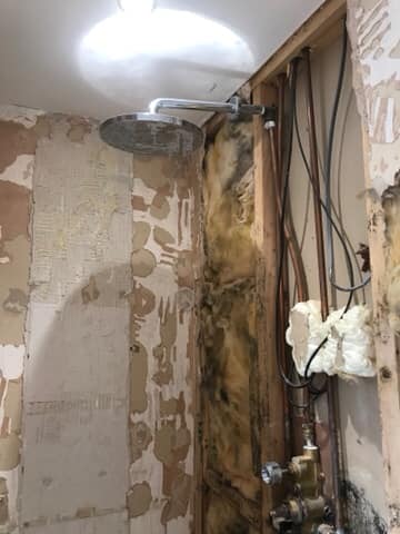 Absolute Home Maintenance | Lowton