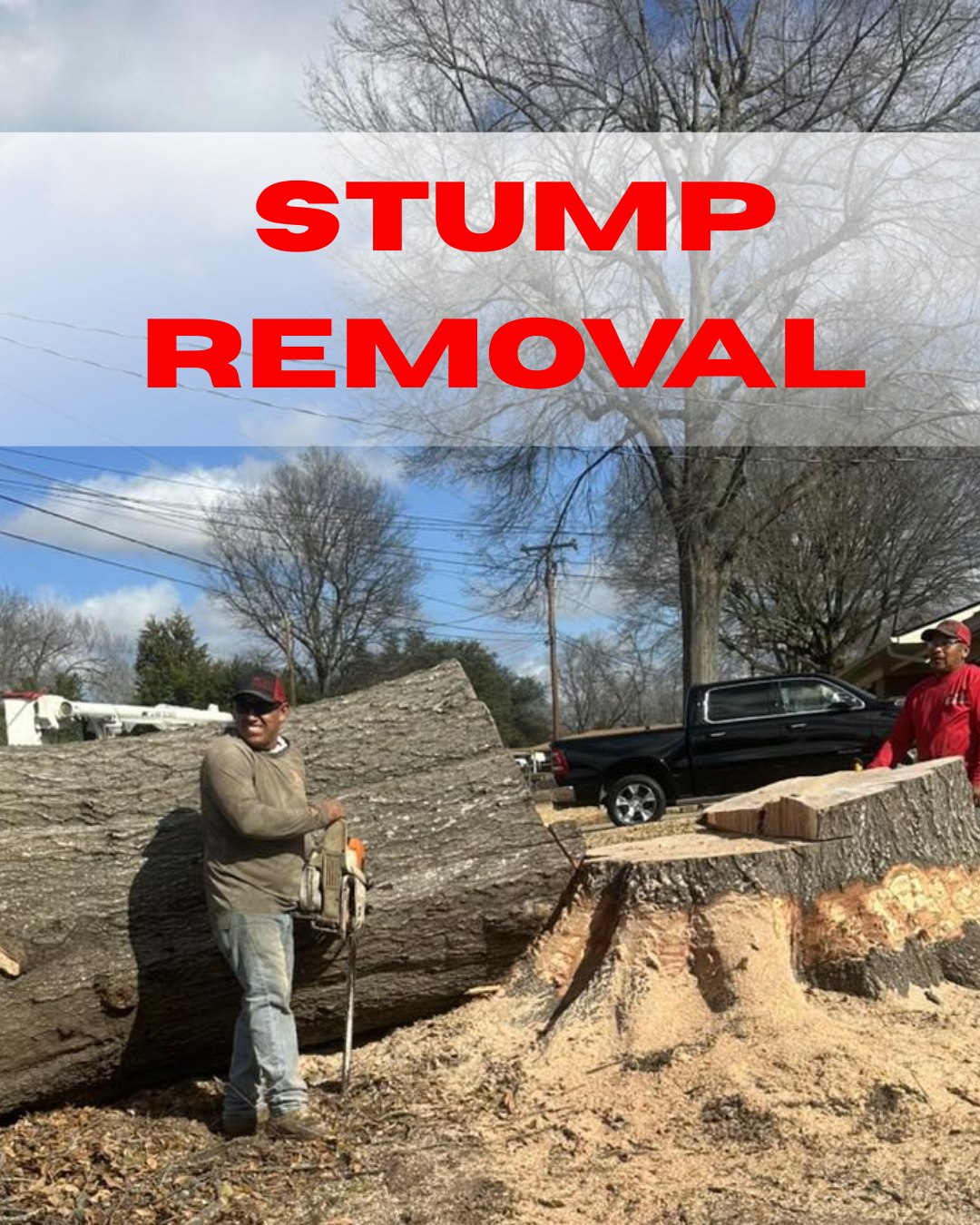 C & M Tree Service | Longview TX