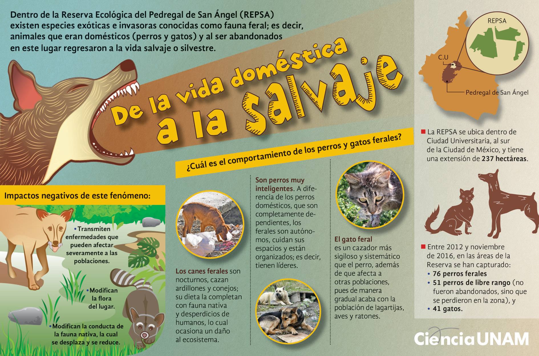 Ciencia UNAM - Las zonas verdes de esta capital son...